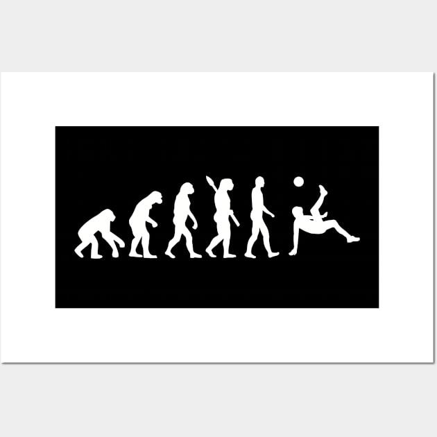 Evolution soccer Wall Art by Designzz